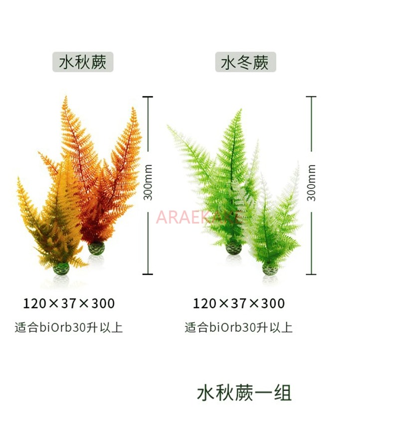 Aquarium Fish Uk - UK fish tank aquarium natural decoration