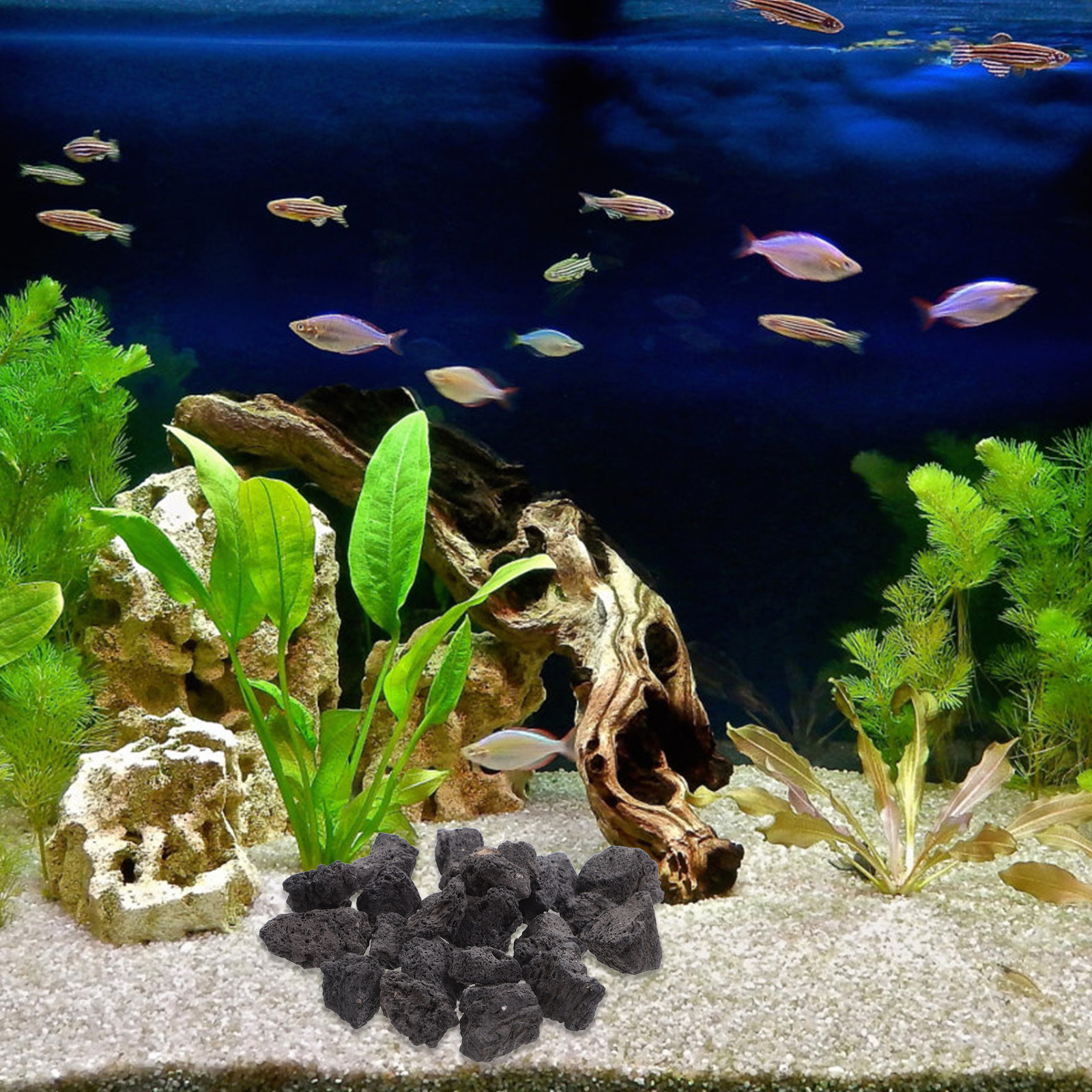 Aquarium Decoration Rock - 1Pack Volcanic Rocks Natural Lava Stones