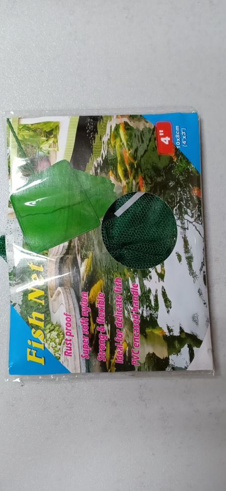 Export Quality Hotsale Aquariu - огляд і ціна Aquarium Fish Exporter