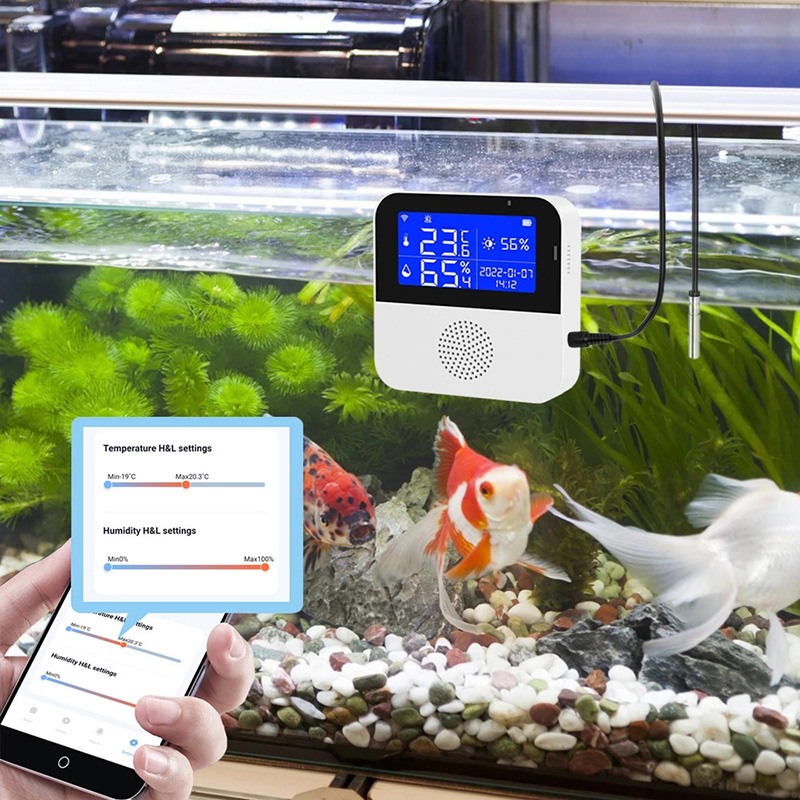 WiFi Tuya Smart Life LED Displ - огляд і ціна Aquarium Fish Uk