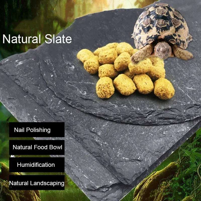 Natural Slate Aquarium Pet Rep - огляд і ціна Aquarium Fish Price