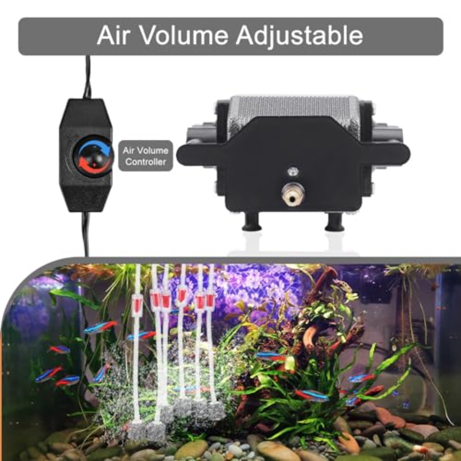 AquaMiracle 6/8/16W Quiet Fish - огляд і ціна Aquarium Fish In Pond