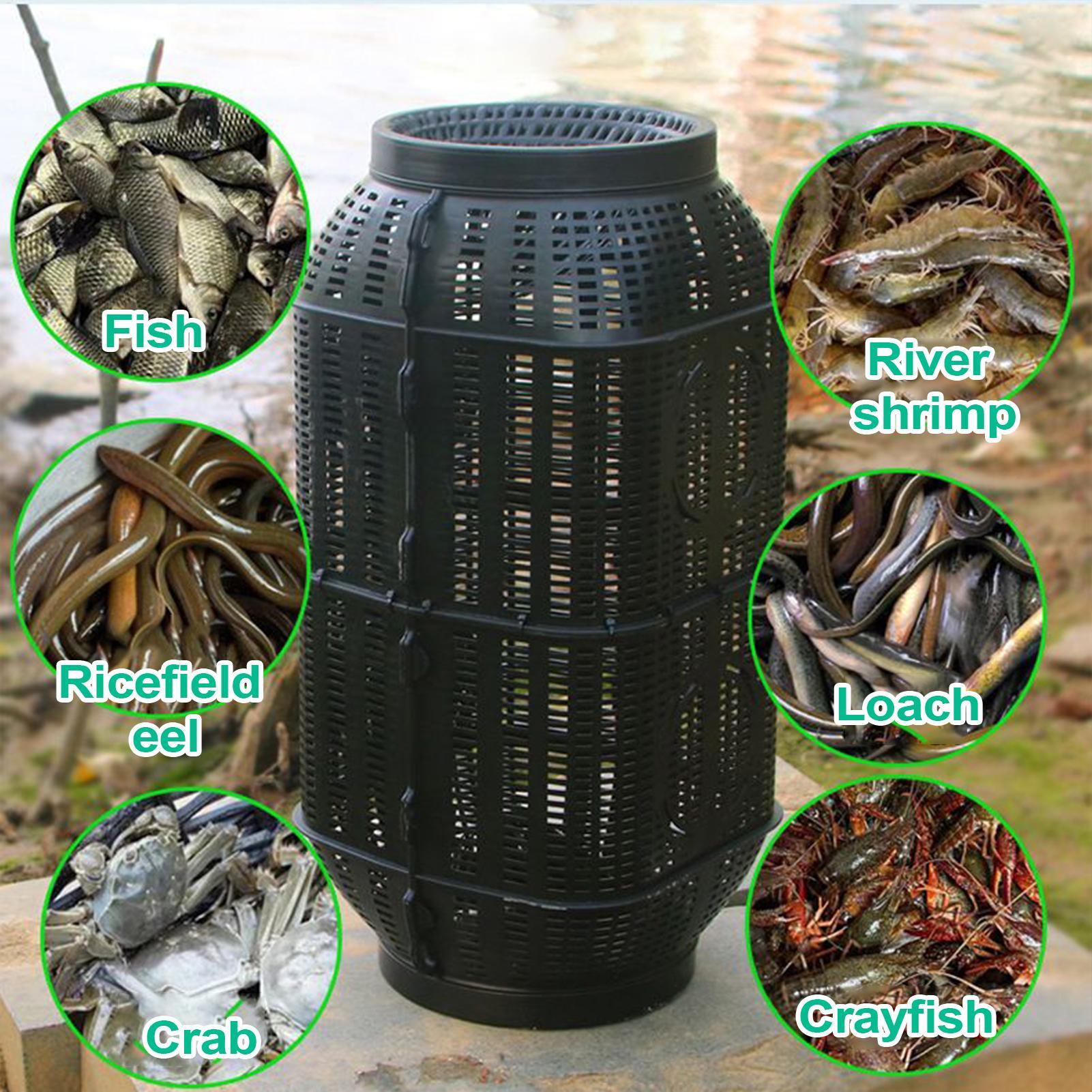 Portable Folding Minnow Fishin - огляд і ціна Aquarium Fish Trap