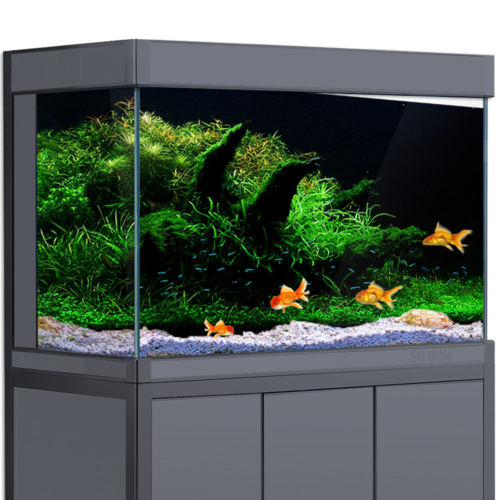 Aquarium Background Fish Tank  - огляд і ціна Aquarium Fish Poster