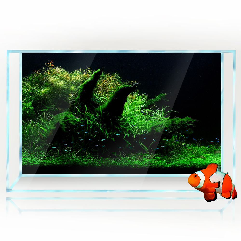 Aquarium Background Fish Tank  - огляд і ціна Aquarium Fish Poster