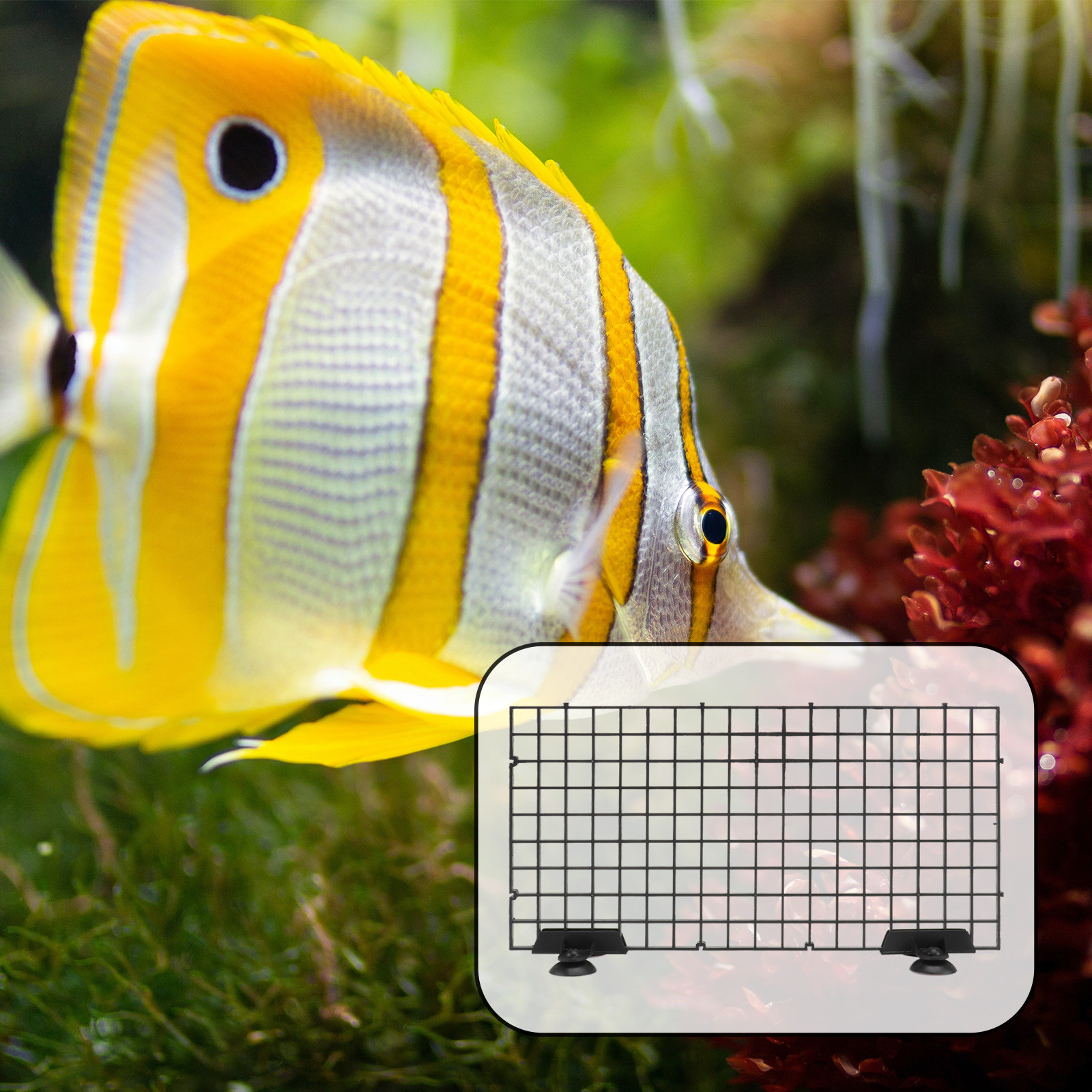 Fish Breeder Net Black Big Siz - огляд і ціна Aquarium Fish Net Big Size