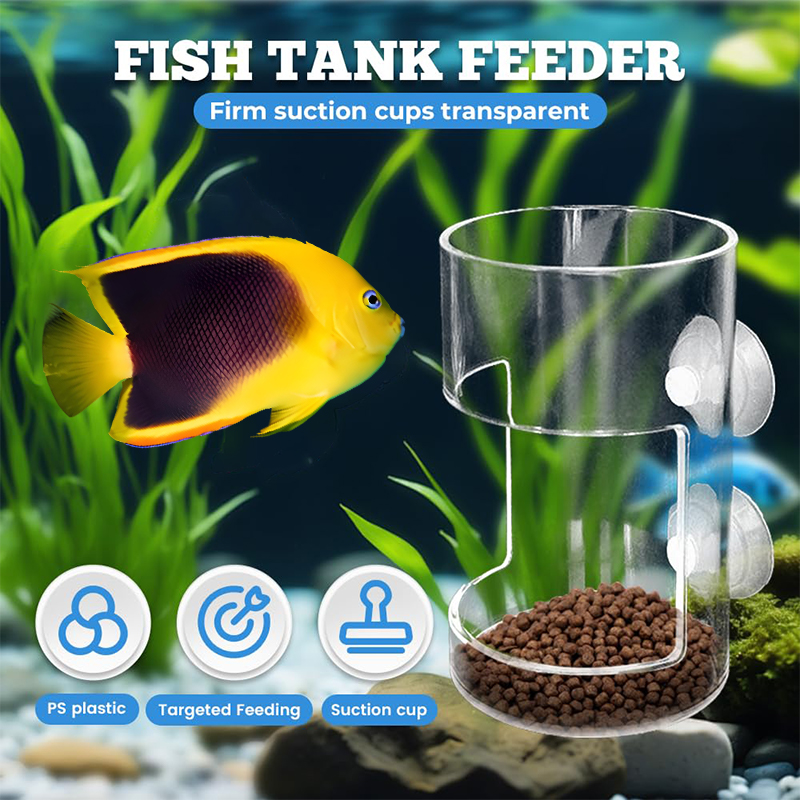 New Fish Tank Dish Tray With S - огляд і ціна Aquarium Fish Price