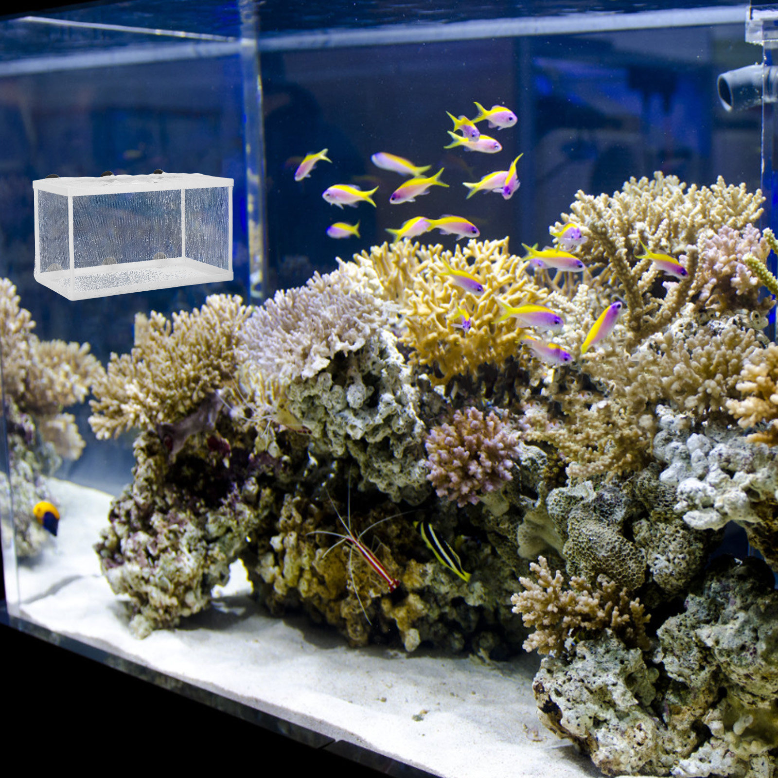Aquarium Fish Net Hatchery Box - огляд і ціна Aquarium Fish Net Big Size