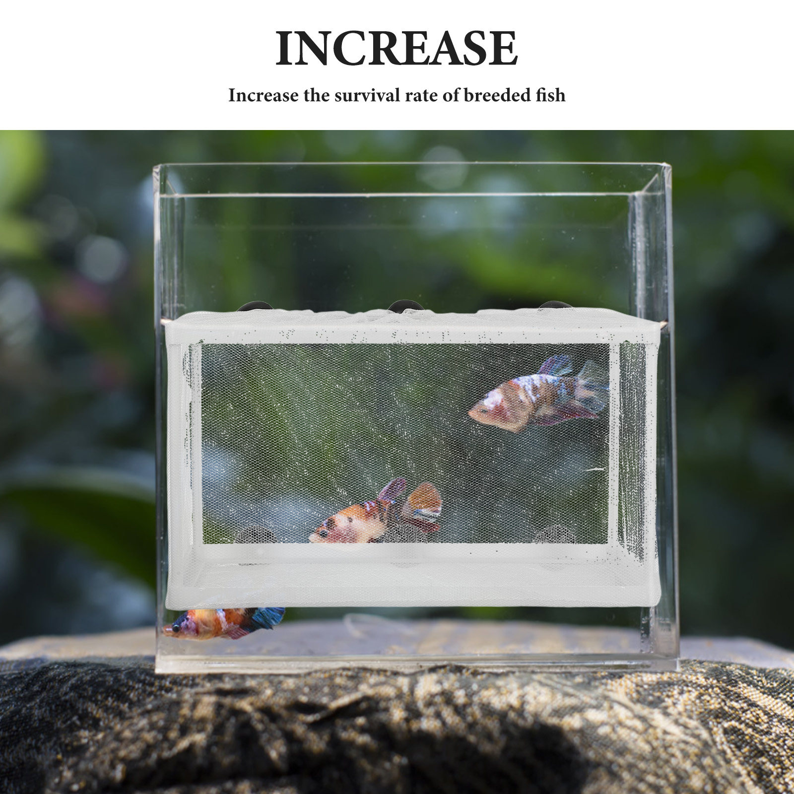 Aquarium Fish Net Hatchery Box - огляд і ціна Aquarium Fish Net Big Size
