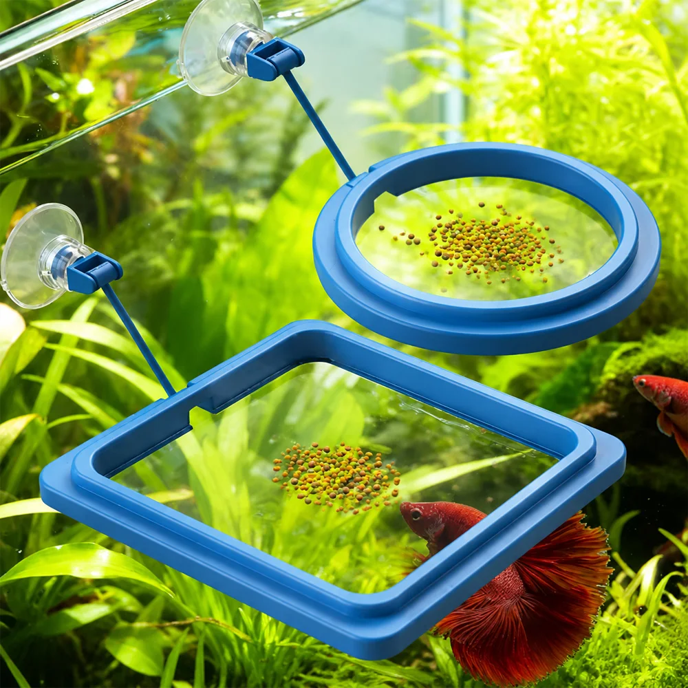 Betta Fish Food Floating Mini  - огляд і ціна Aquarium Fish Price