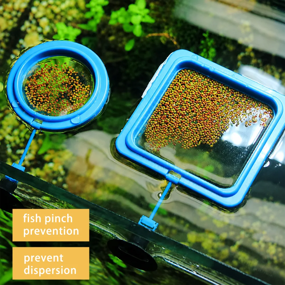 Betta Fish Food Floating Mini  - огляд і ціна Aquarium Fish Price