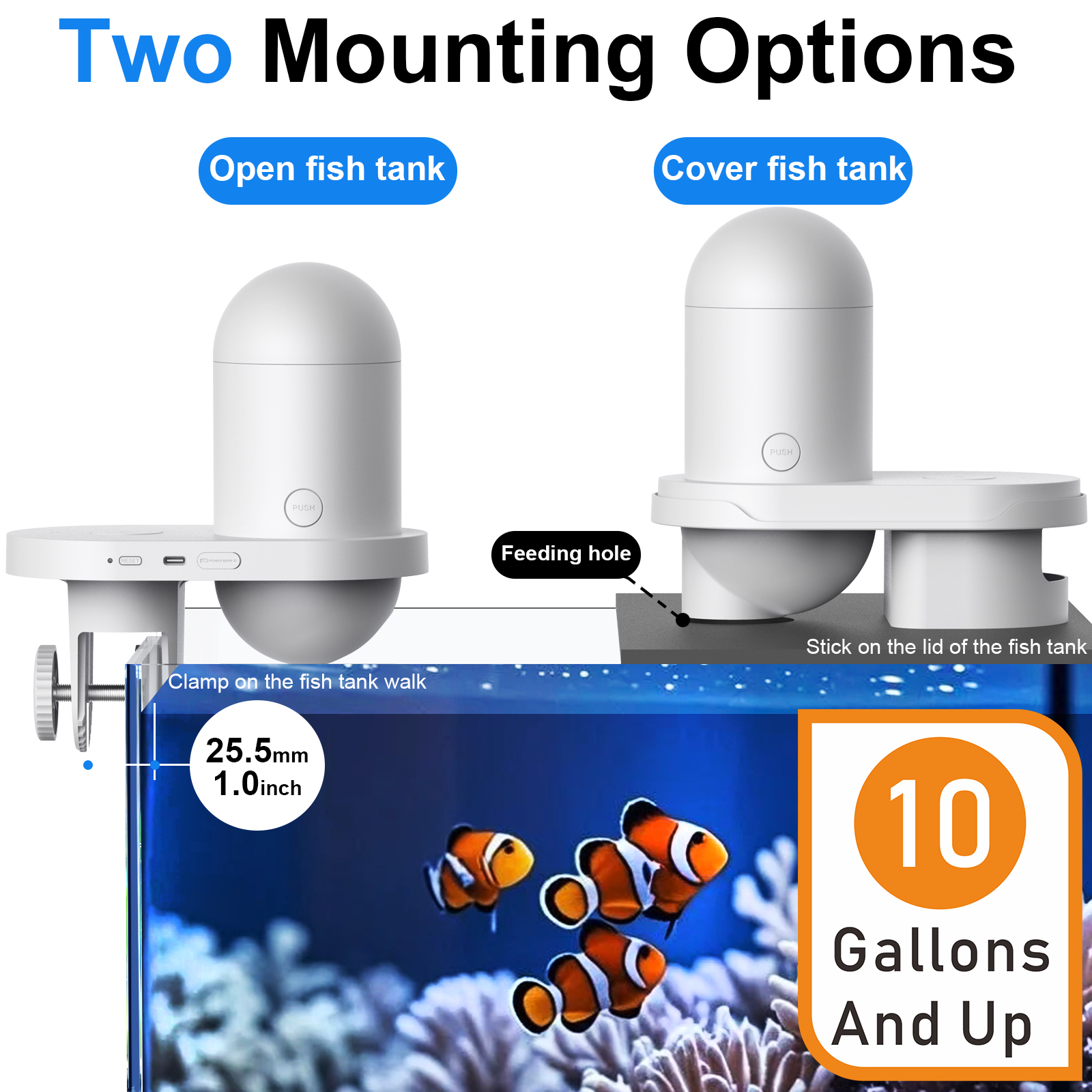 Automatic Fish Feeder With Cam - огляд і ціна Aquarium Fish Price