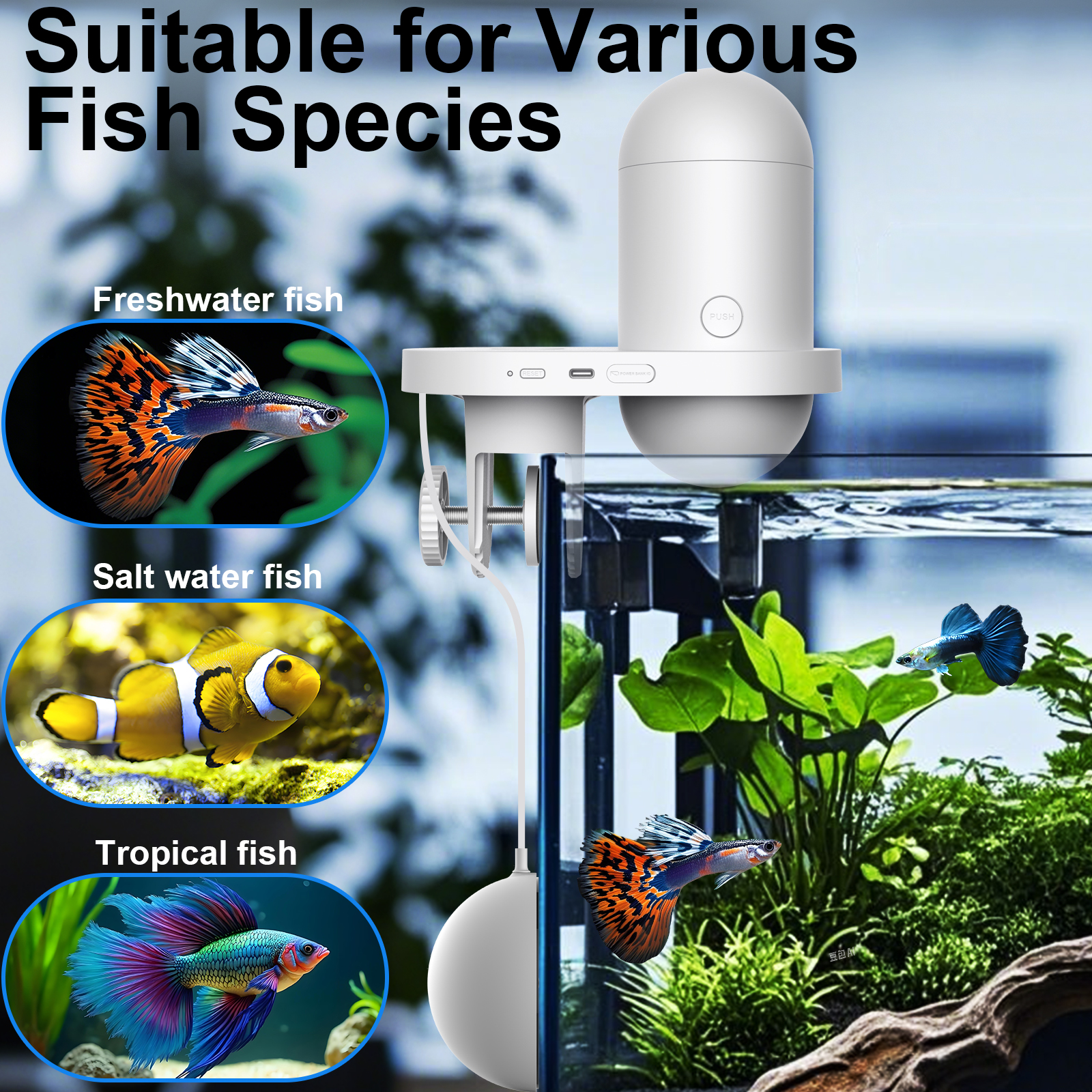 Automatic Fish Feeder With Cam - огляд і ціна Aquarium Fish Price