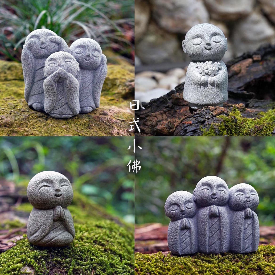 Cute Japanese Monk Kyoto Prefe - огляд і ціна Aquarium Fish Japan